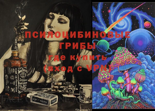 ГАЛЛЮЦИНОГЕННЫЕ ГРИБЫ Абинск