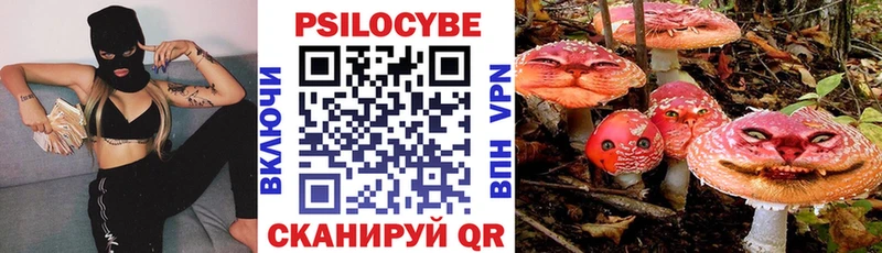 Псилоцибиновые грибы Psilocybine cubensis  Суздаль 