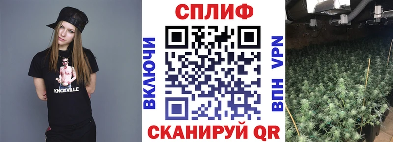 ОМГ ОМГ вход  наркошоп  Суздаль  Бошки марихуана гибрид 
